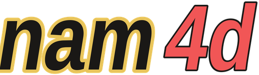 nam4d logo